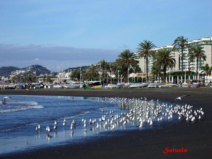 Apartamento Solymar Málaga Buitenkant foto